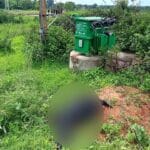 Goat Electrocuted |