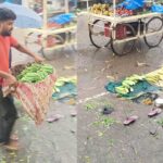 Vegetable Farmers |