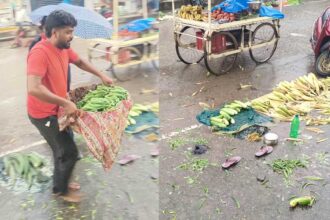 Vegetable Farmers |