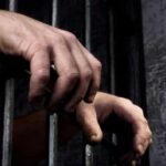 Bank Fraud Case