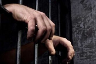 Bank Fraud Case