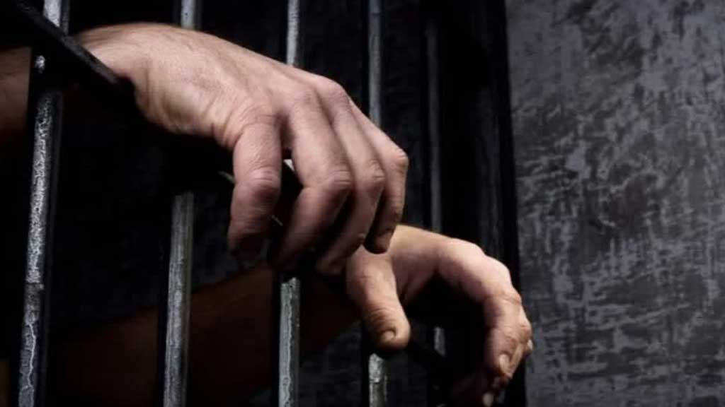 Bank Fraud Case