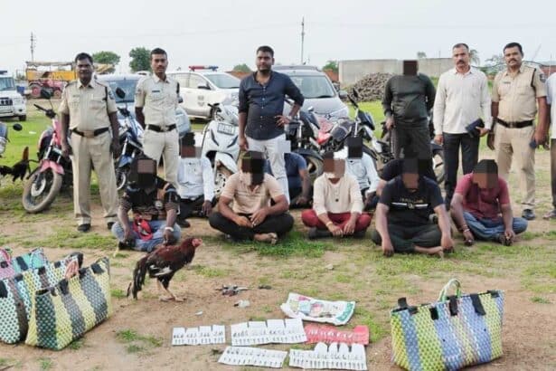 Cockfighting Kamareddy |