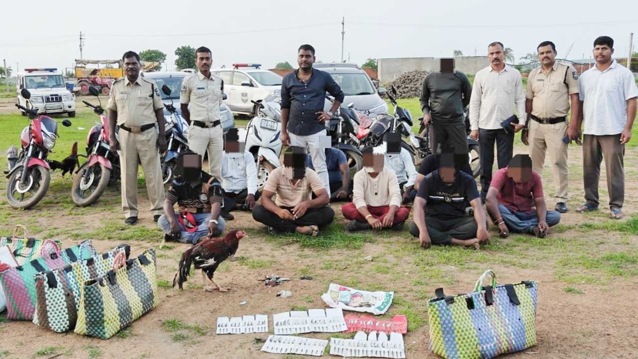 Cockfighting Kamareddy |