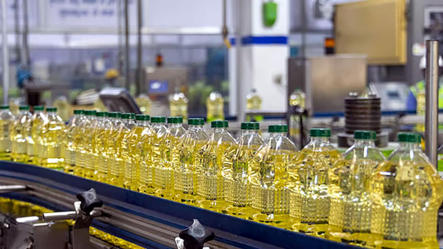 India Palm Oil Production