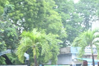Telangana Rain Forecast