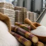 Sugar Prices India