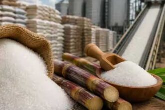 Sugar Prices India
