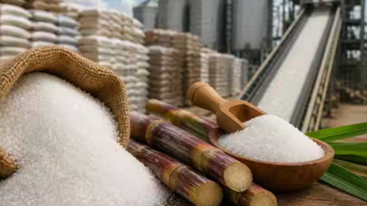Sugar Prices India