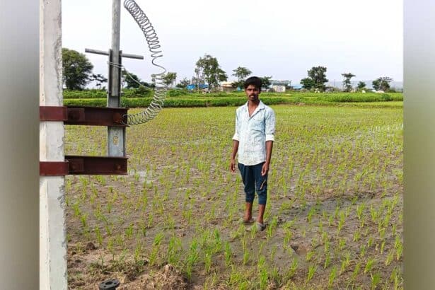Gandhari Farmers |