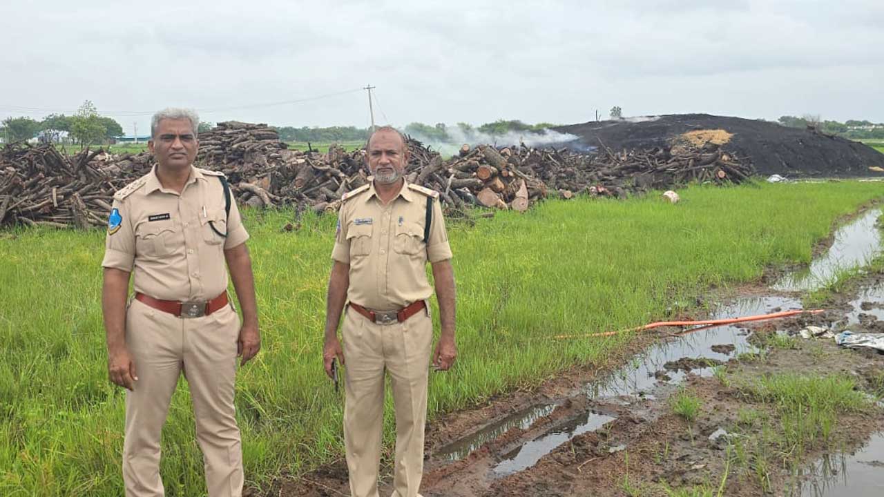 Illegal Charcoal Manufacturing |