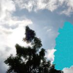 Telangana Weather