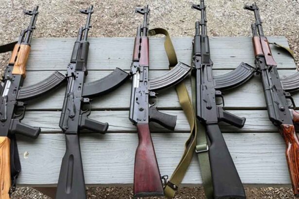 Army Arms Theft