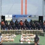 Drug Seizure