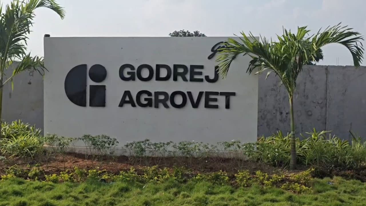 Godrej Agrovet Oil Palm