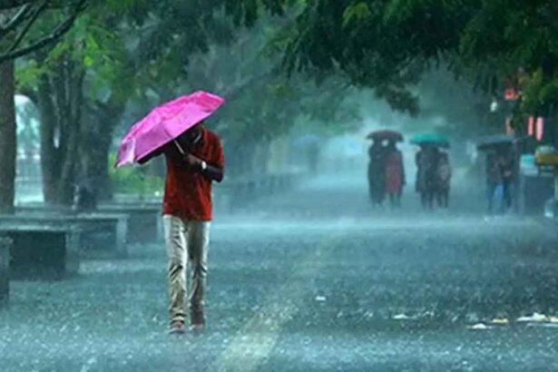 Heavy Rain Alert