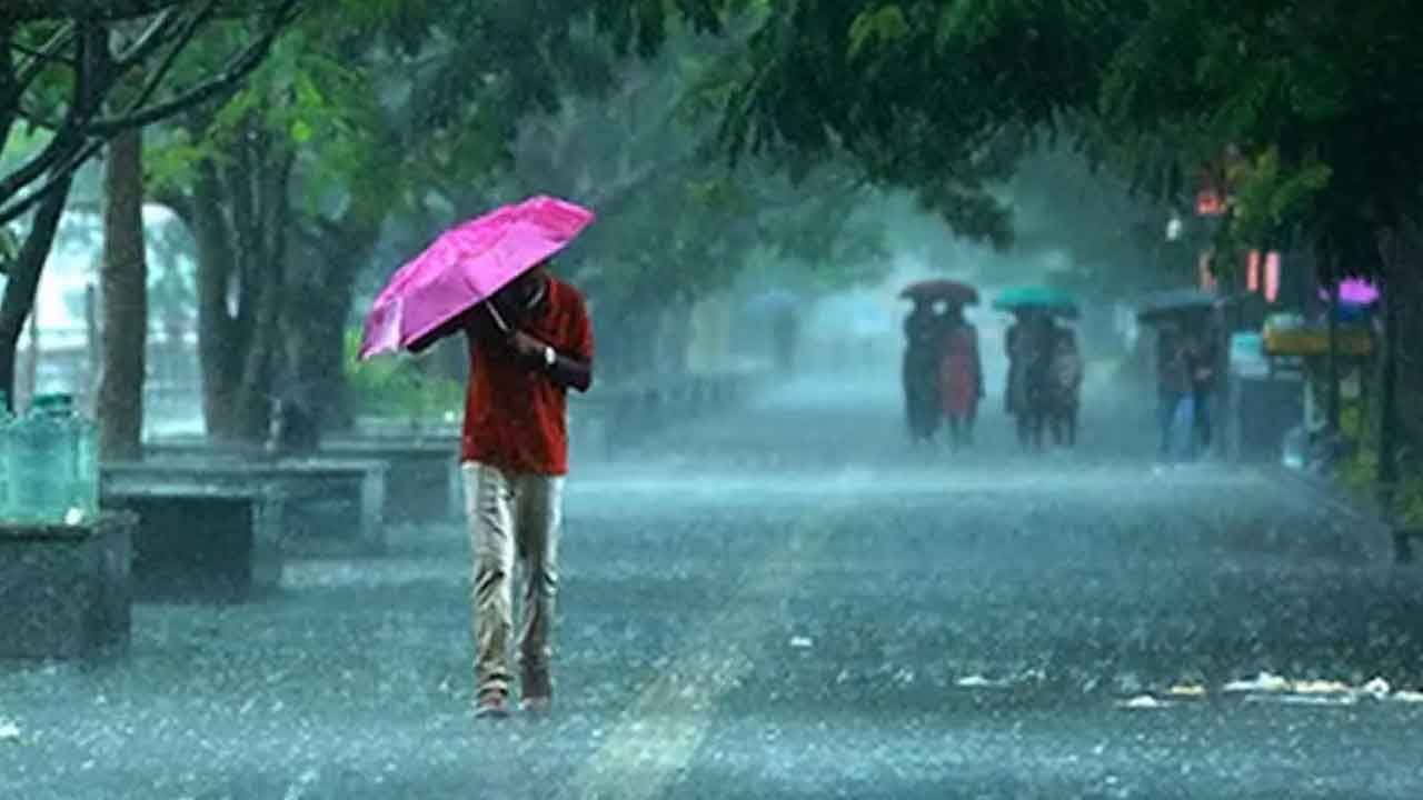 Heavy Rain Alert