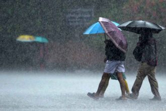 Heavy Rains