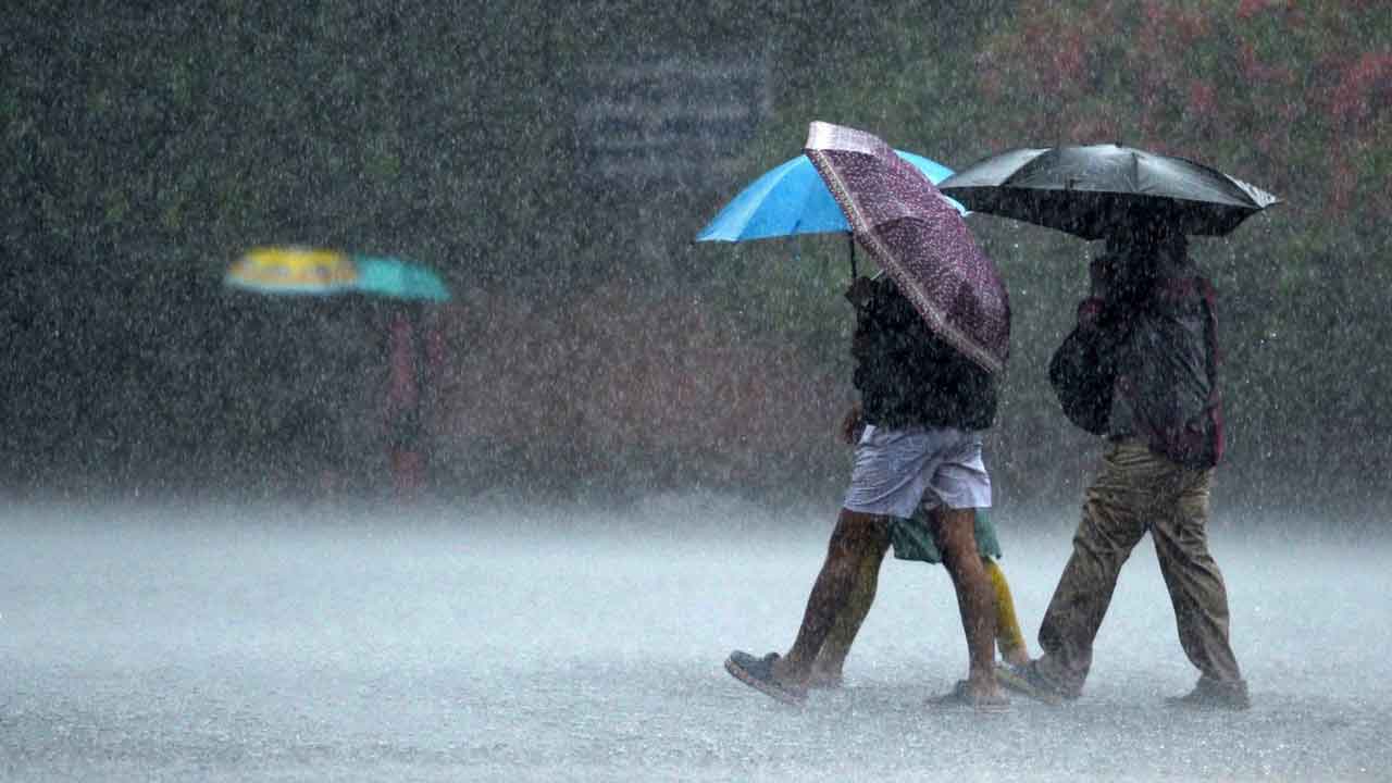 Heavy Rains