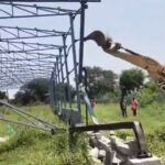 Illegal Constructions