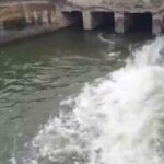 Jurala Water Release