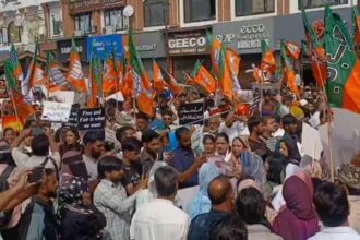 Kashmir BJP Protest