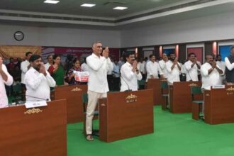 Mock Assembly
