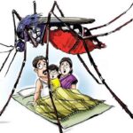 Mosquito Fever Outbreak