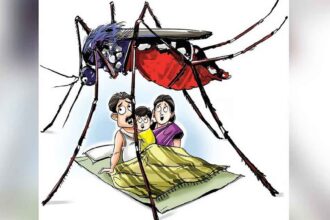 Mosquito Fever Outbreak
