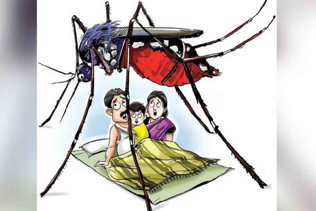 Mosquito Fever Outbreak