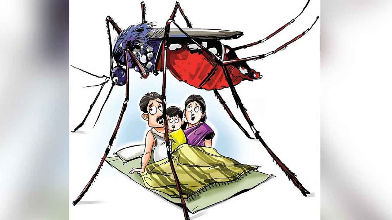 Mosquito Fever Outbreak