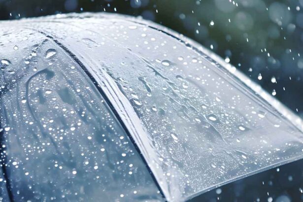 Telangana Heavy Rains