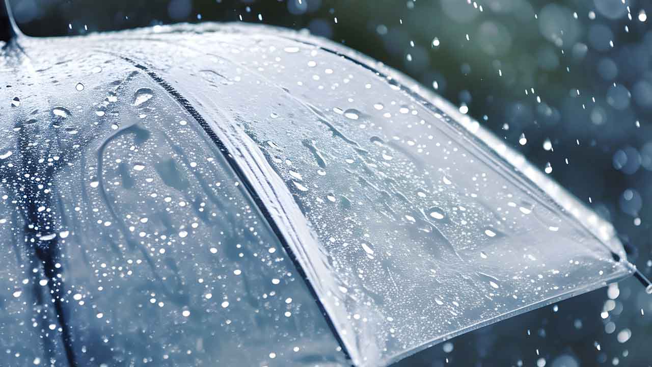 Telangana Heavy Rains