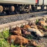 Train Accident