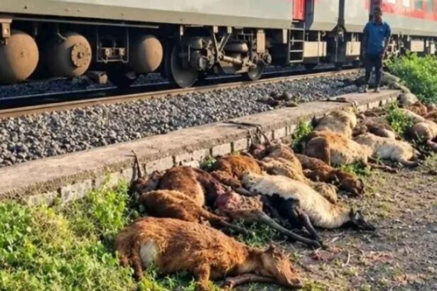 Train Accident