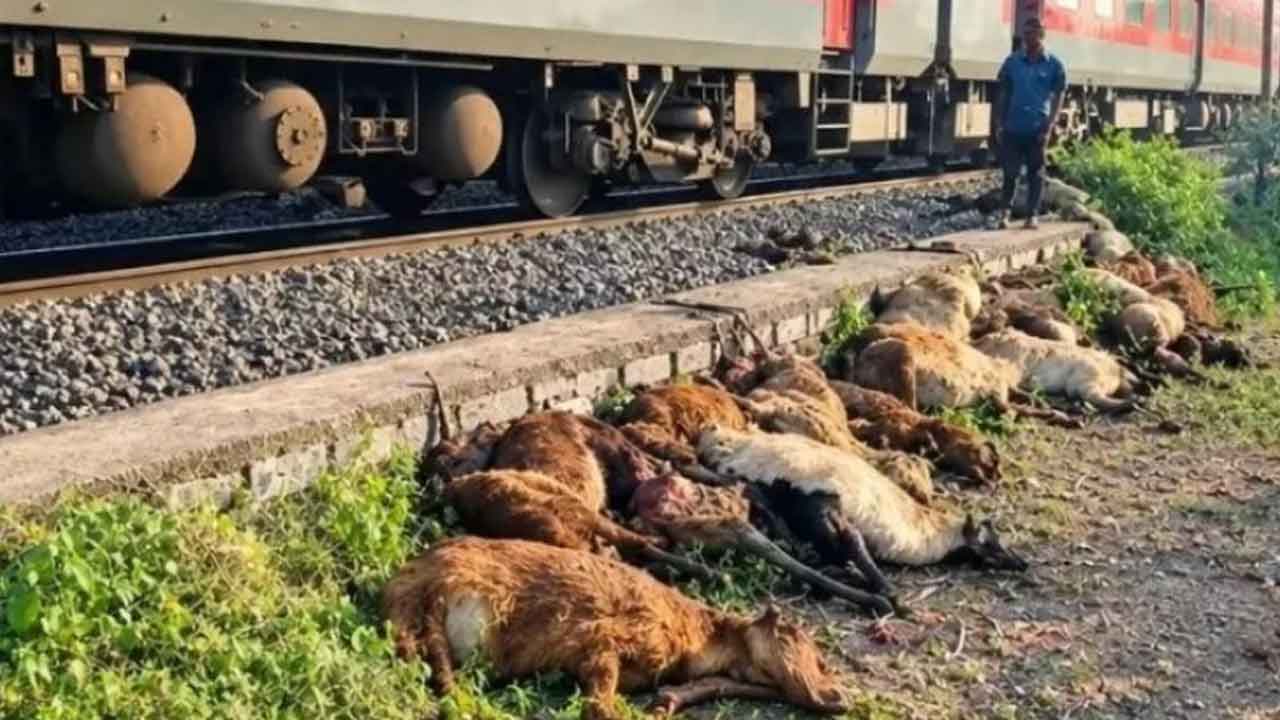 Train Accident