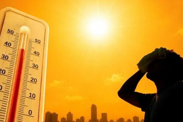 Telangana Weather