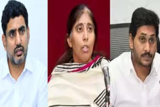 AP Local Elections