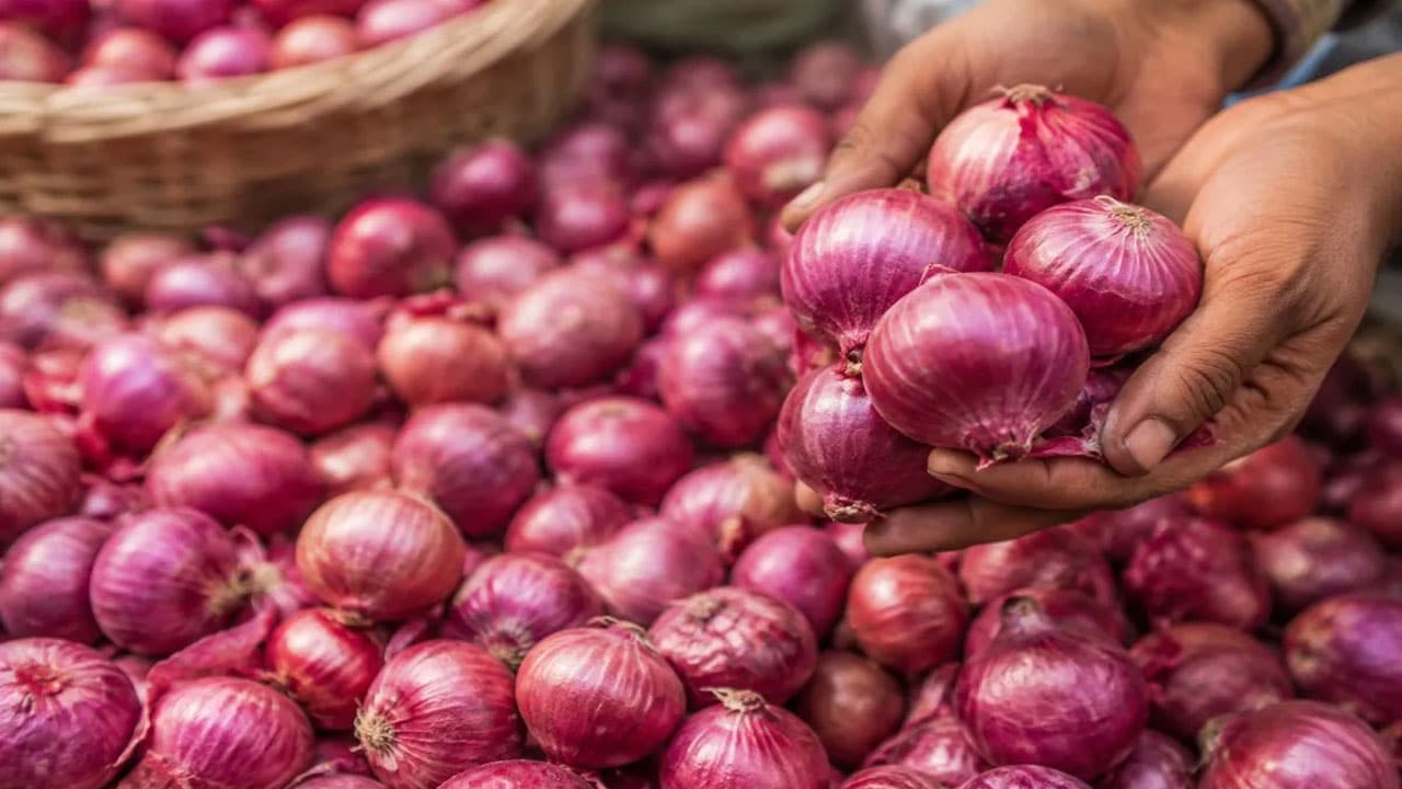 Subsidized Onion Price