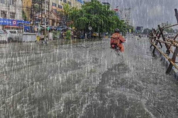 Rain Forecast