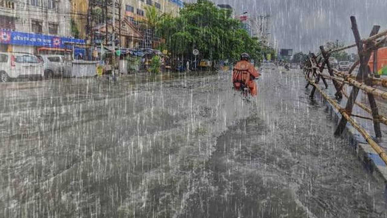 Rain Forecast