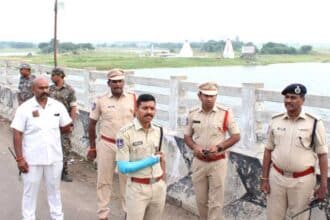 Godavari Ganesh Immersion |
