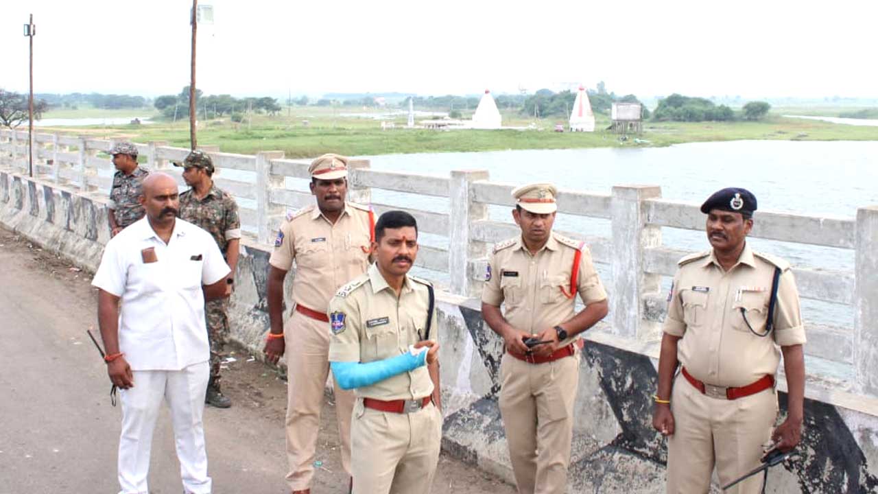 Godavari Ganesh Immersion |