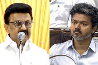Stalin Vijay Comments