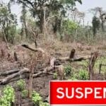 Forest Officer Suspension |