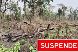 Forest Officer Suspension |