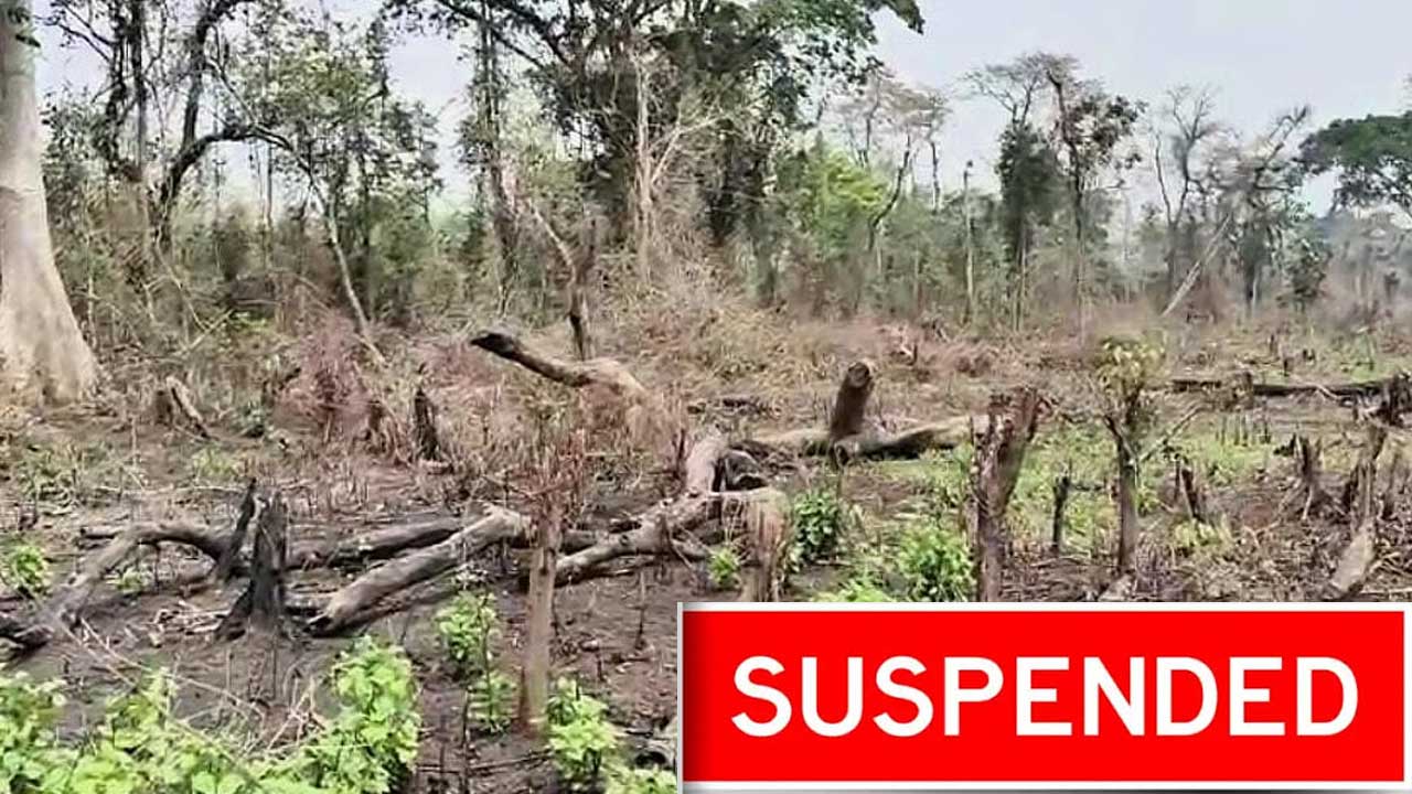 Forest Officer Suspension |
