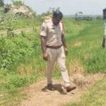 Paddy Crop Damage |