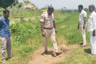 Paddy Crop Damage |