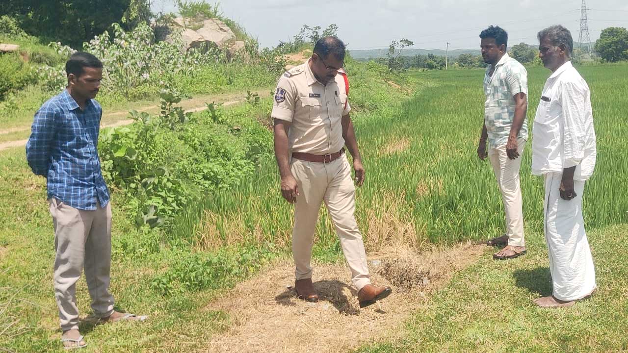 Paddy Crop Damage |